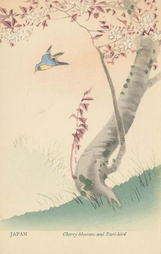 Cherry-blossoms and Ruri-bird