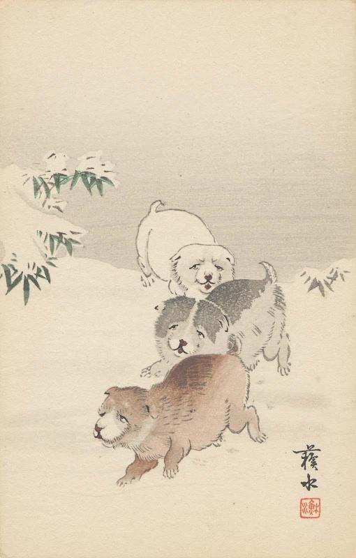 Puppies in Snow