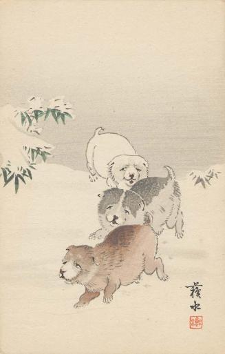 Puppies in Snow