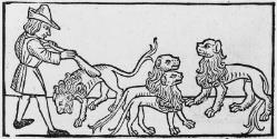 A Lion who married two whelps and gave them good precepts