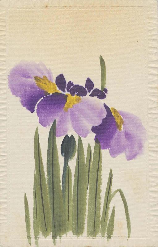 Irises