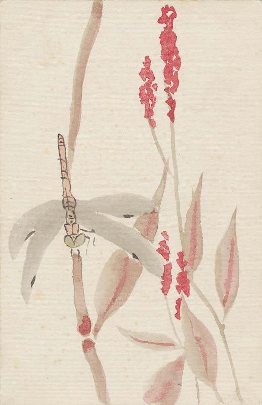 Dragonfly