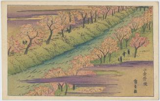 Cherry Blossoms on the Embankment at Koganei (Koganei tsutsumi)