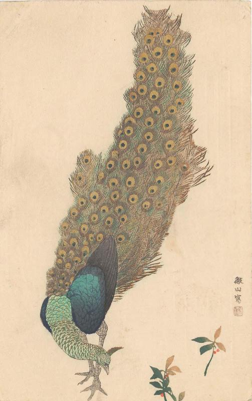 Reproduction of Painting by Tessan: Peacock