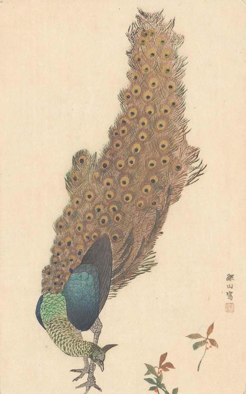 Reproduction of Painting by Tessan: Peacock