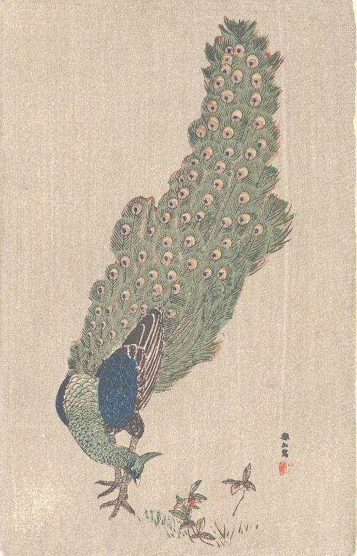 Reproduction of Painting by Tessan: Peacock