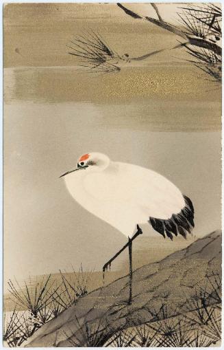 Crane on Pine Tree