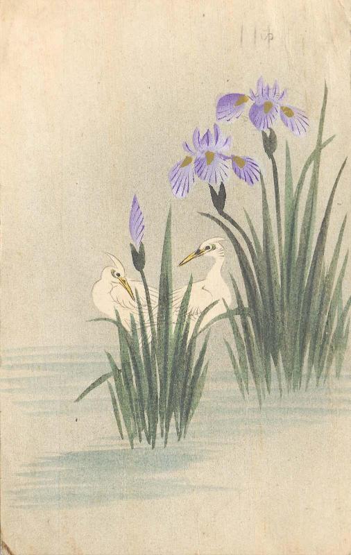 Egrets and Irises