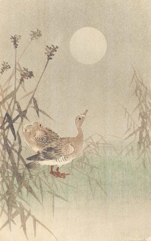 Geese and Full Moon