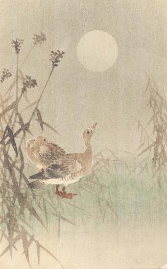 Geese and Full Moon