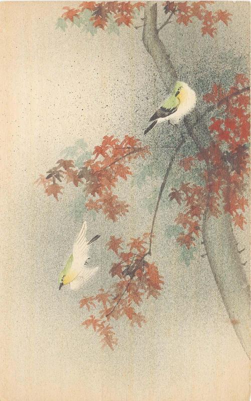 Birds in Maple Tree