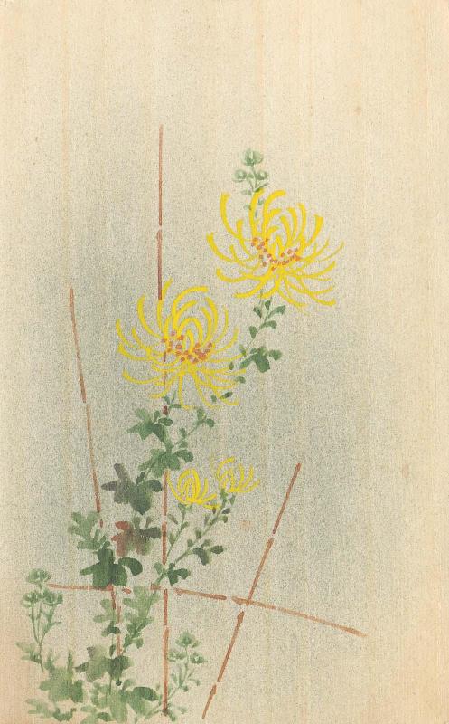 Chrysanthemums on Trellis