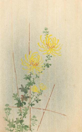 Chrysanthemums on Trellis