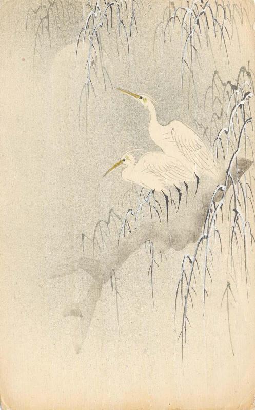 Egrets on Snowy Branch in Moonlight
