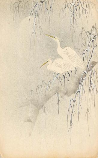 Egrets on Snowy Branch in Moonlight