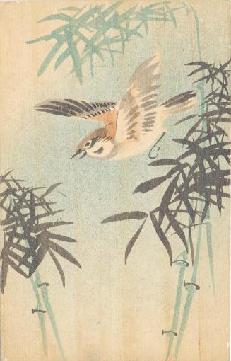 Sparrow Flying over Bamboo