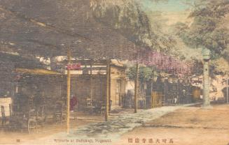 Wisteria at Daitokuji, Nagasaki.  No. 38 in a series