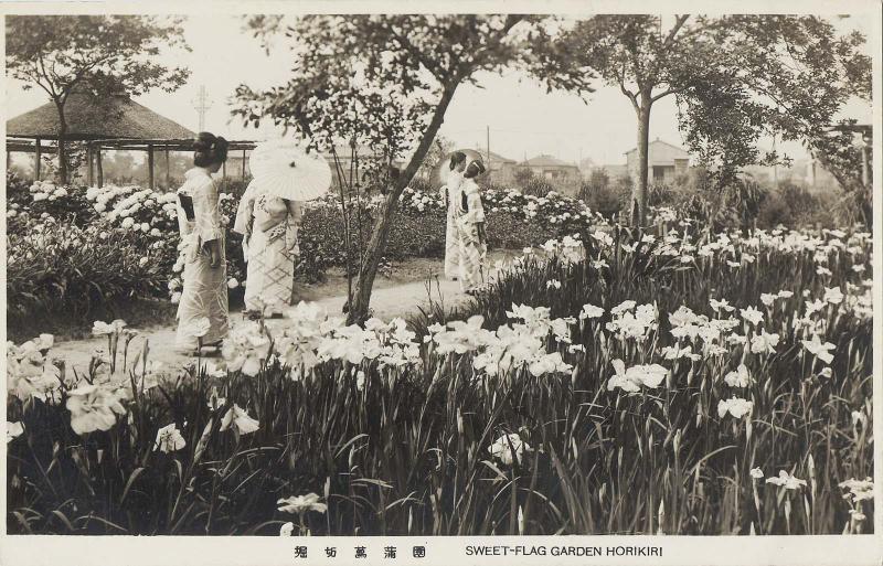 Sweet-flag Garden, Horikiri