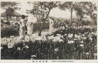 Sweet-flag Garden, Horikiri