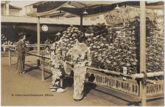 A Chrysanthemum Show