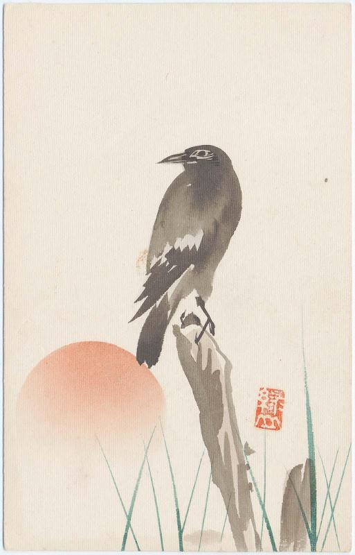 Bird by Sun Set