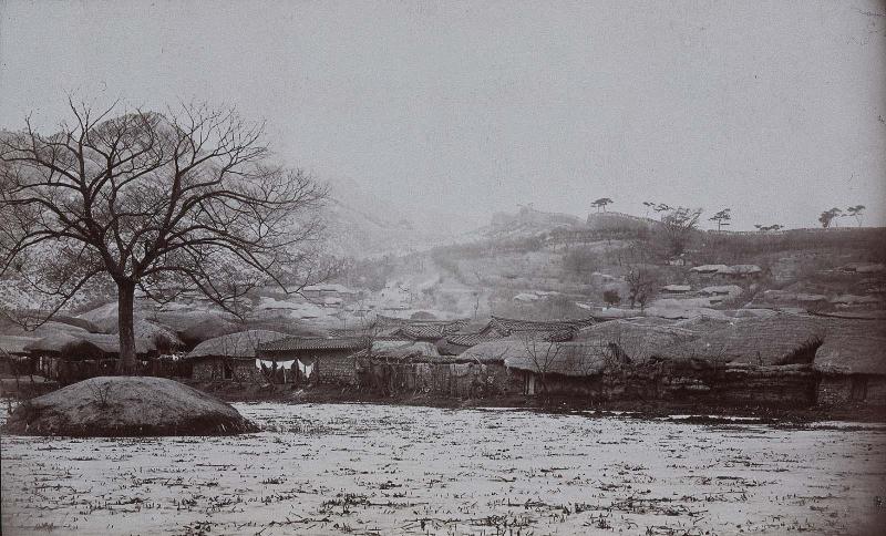 Lotus pond outside the city walls, frozen - Seoul (NRICP Relic No.: 2886)