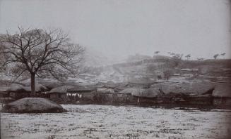 Lotus pond outside the city walls, frozen - Seoul (NRICP Relic No.: 2886)