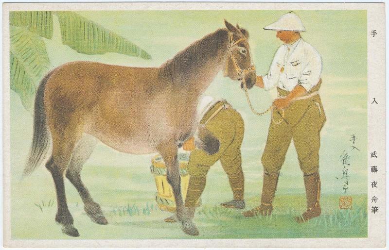 Caring (Teire)