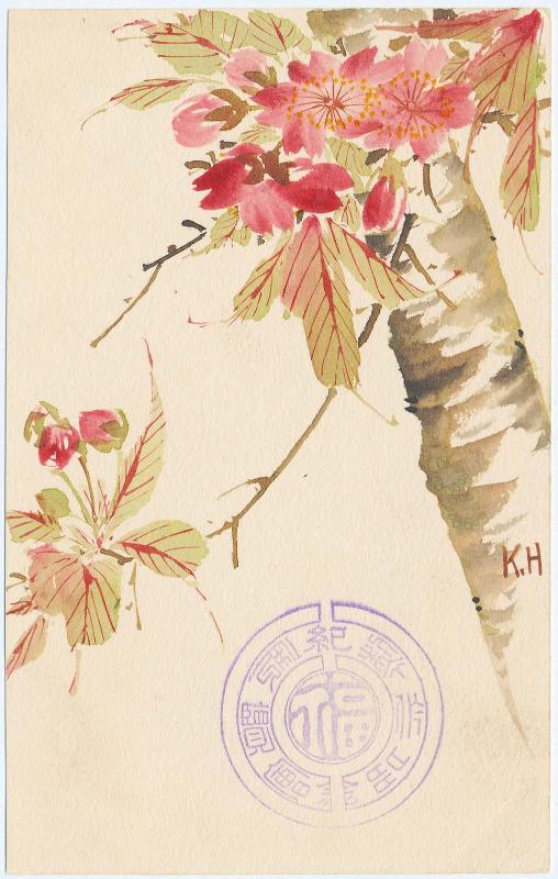 Cherry Blossoms
