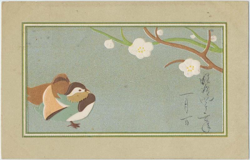 Mandarin Duck