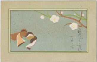 Mandarin Duck