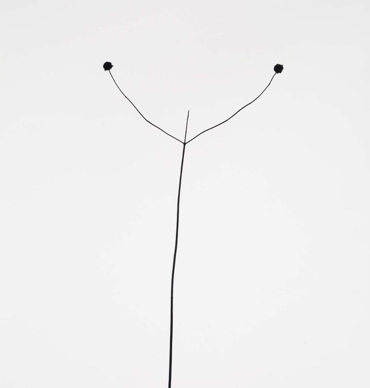 Weed Against Sky, Detroit