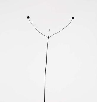 Weed Against Sky, Detroit