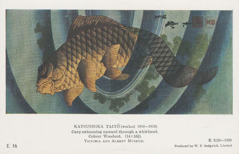 Carp, reproduction of print in the Victoria and Albert Museum