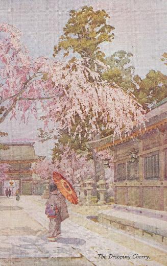 The Drooping Cherry, from the series Flowers and Gardens of Japan by Ella Du Cane, in Japan Series No.34