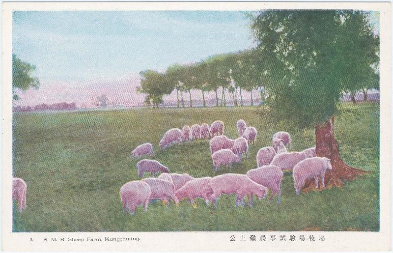 "2. S.M.R. Sheep Farm, Kungchuling." (Gongzhuling nôji shikenjô makiba)