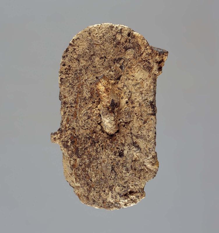 Bridle Bit Fragment