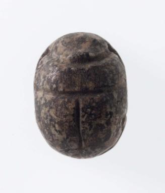 Scarab