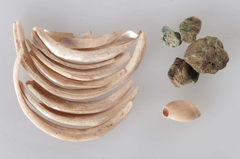 Bracelet and mineral chunks