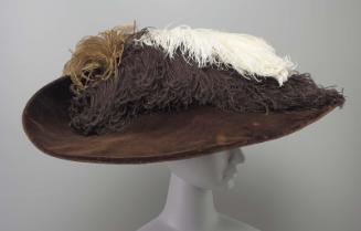 A hat of dark brown velvet