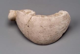 Fragment of the case for a duck