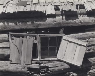 Abandoned Shack, High Sierras