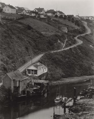 Albion