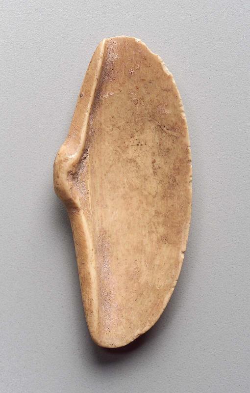 Yellow shell