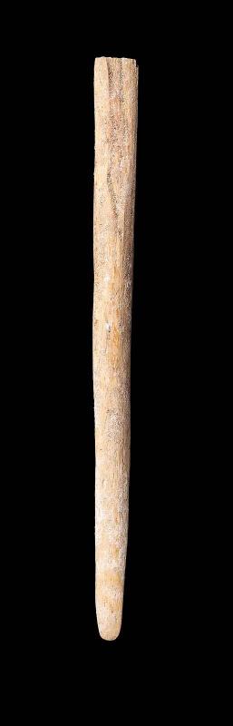 Bone pin