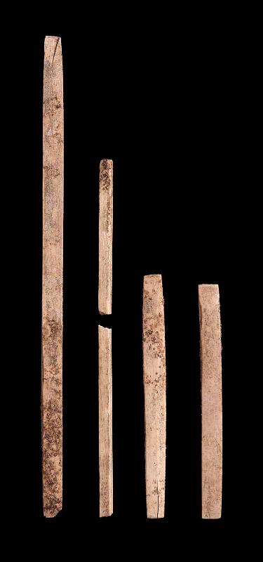 Fragments of ivory or wood