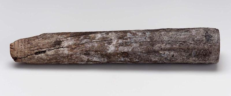 Fragment of wand