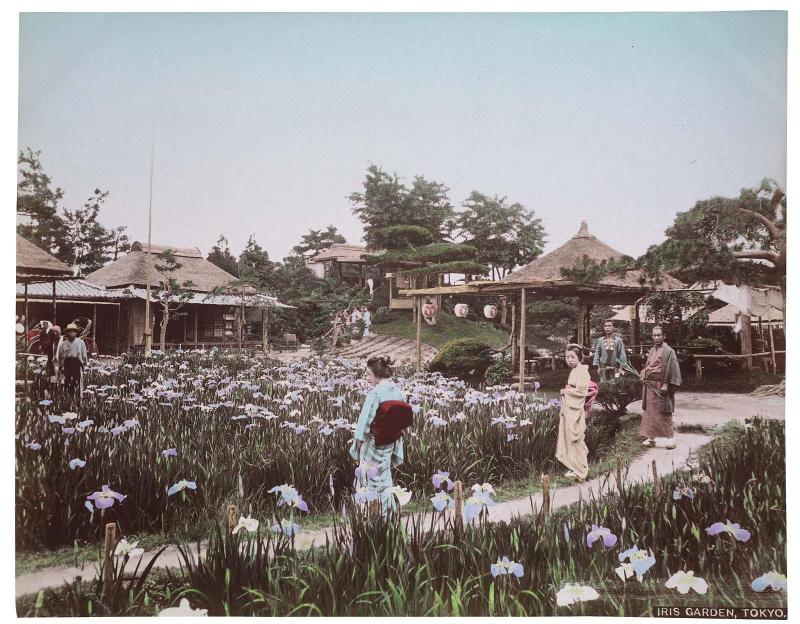 Iris Garden, Tokyo