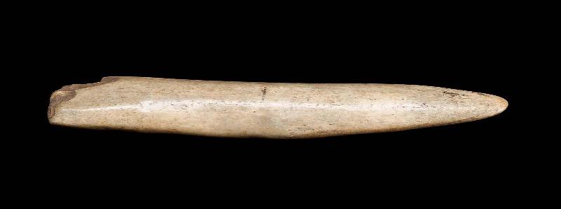 Half horn tip