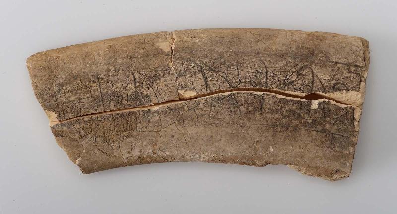 Fragment of wand